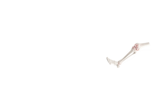 Design ohne Titel (5)